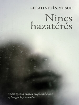 cover image of Nincs hazatérés